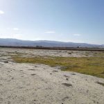زمین زراعی در مشهد — کد ملک ۱۳۳۶